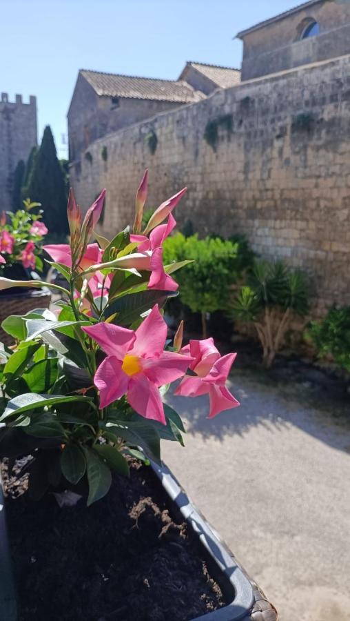 Apartmán La Torre Tarquinia Exteriér fotografie